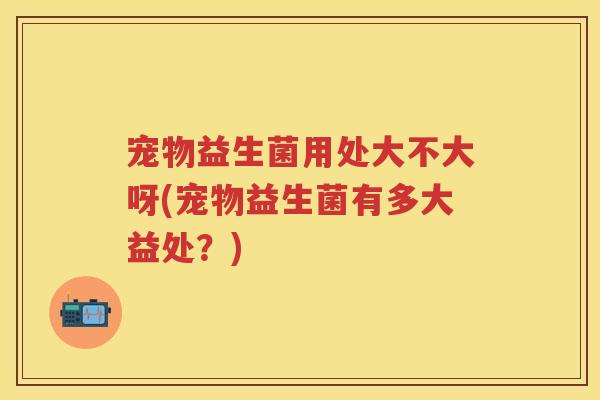 宠物益生菌用处大不大呀(宠物益生菌有多大益处?) 宠物益生菌用处大不大呀(宠物益生菌有多大益处?)