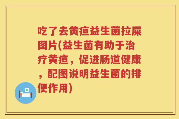 吃了去黄疸益生菌拉屎图片(益生菌有助于黄疸,促进肠道健康,配图说明益生菌的排便作用) 吃了去黄疸益生菌拉屎图片(益生菌有助于黄疸,促进肠道健康,配图说明益生菌的排便作用)