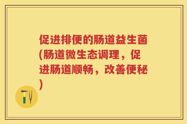促进排便的肠道益生菌(肠道微生态调理,促进肠道顺畅,改善) 促进排便的肠道益生菌(肠道微生态调理,促进肠道顺畅,改善)