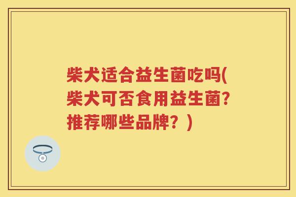 柴犬适合益生菌吃吗(柴犬可否食用益生菌？推荐哪些品牌？)