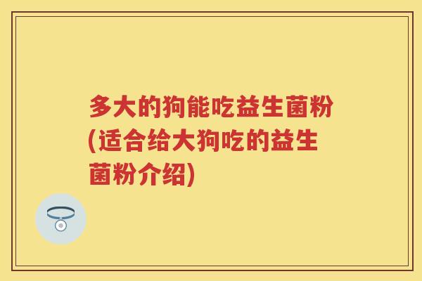 多大的狗能吃益生菌粉(适合给大狗吃的益生菌粉介绍)