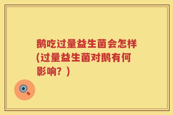 鹅吃过量益生菌会怎样(过量益生菌对鹅有何影响?) 鹅吃过量益生菌会怎样(过量益生菌对鹅有何影响?)