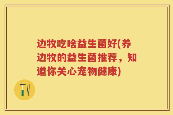 边牧吃啥益生菌好(养边牧的益生菌推荐,知道你关心宠物健康) 边牧吃啥益生菌好(养边牧的益生菌推荐,知道你关心宠物健康)