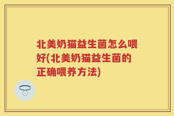 北美奶猫益生菌怎么喂好(北美奶猫益生菌的正确喂养方法) 北美奶猫益生菌怎么喂好(北美奶猫益生菌的正确喂养方法)