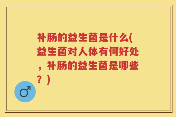 补肠的益生菌是什么(益生菌对人体有何好处，补肠的益生菌是哪些？)