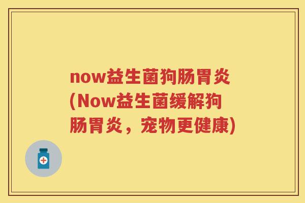 now益生菌狗肠(Now益生菌缓解狗肠,宠物更健康) now益生菌狗肠(Now益生菌缓解狗肠,宠物更健康)
