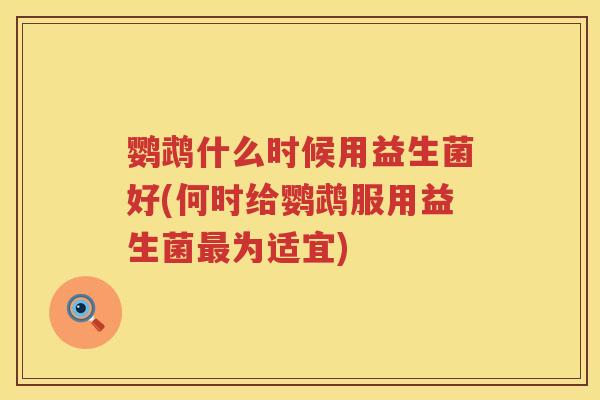 鹦鹉什么时候用益生菌好(何时给鹦鹉服用益生菌为适宜)