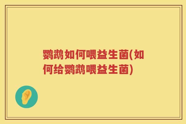 鹦鹉如何喂益生菌(如何给鹦鹉喂益生菌) 鹦鹉如何喂益生菌(如何给鹦鹉喂益生菌)