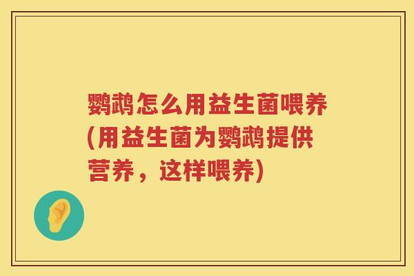 鹦鹉怎么用益生菌喂养(用益生菌为鹦鹉提供营养,这样喂养) 鹦鹉怎么用益生菌喂养(用益生菌为鹦鹉提供营养,这样喂养)