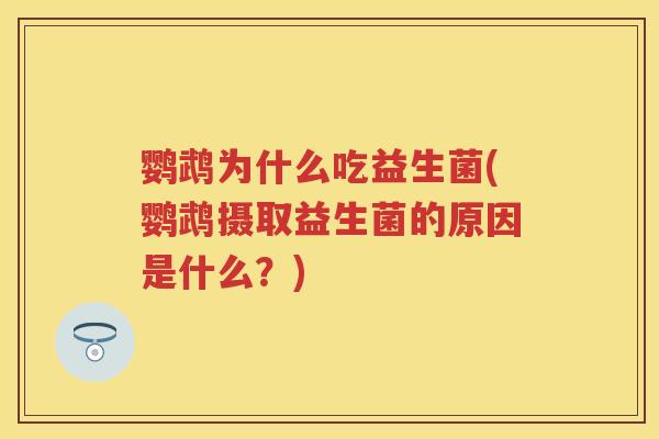 鹦鹉为什么吃益生菌(鹦鹉摄取益生菌的原因是什么？)