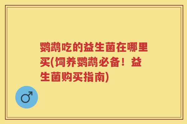 鹦鹉吃的益生菌在哪里买(饲养鹦鹉必备!益生菌购买指南) 鹦鹉吃的益生菌在哪里买(饲养鹦鹉必备!益生菌购买指南)