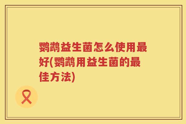 鹦鹉益生菌怎么使用好(鹦鹉用益生菌的佳方法)