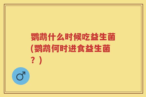 鹦鹉什么时候吃益生菌(鹦鹉何时进食益生菌?) 鹦鹉什么时候吃益生菌(鹦鹉何时进食益生菌?)