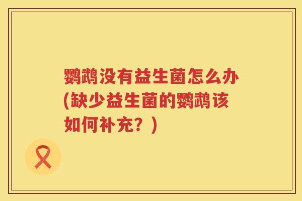 鹦鹉没有益生菌怎么办(缺少益生菌的鹦鹉该如何补充?) 鹦鹉没有益生菌怎么办(缺少益生菌的鹦鹉该如何补充?)
