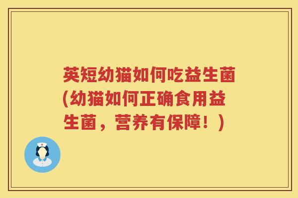 英短幼猫如何吃益生菌(幼猫如何正确食用益生菌，营养有保障！)