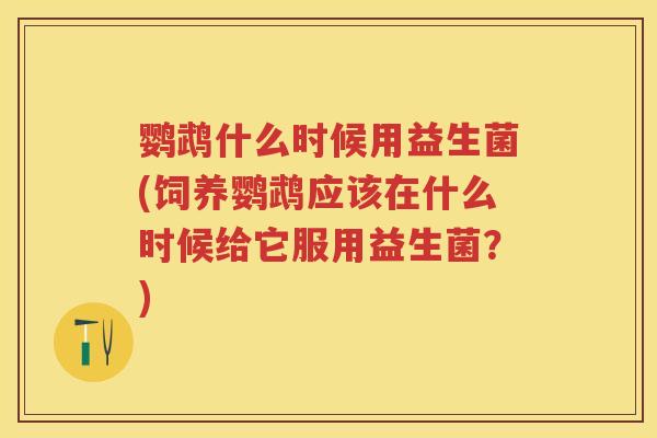 鹦鹉什么时候用益生菌(饲养鹦鹉应该在什么时候给它服用益生菌？)