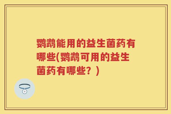 鹦鹉能用的益生菌药有哪些(鹦鹉可用的益生菌药有哪些?) 鹦鹉能用的益生菌药有哪些(鹦鹉可用的益生菌药有哪些?)