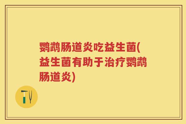 鹦鹉肠道炎吃益生菌(益生菌有助于鹦鹉肠道炎) 鹦鹉肠道炎吃益生菌(益生菌有助于鹦鹉肠道炎)