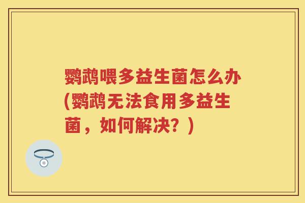 鹦鹉喂多益生菌怎么办(鹦鹉无法食用多益生菌，如何解决？)