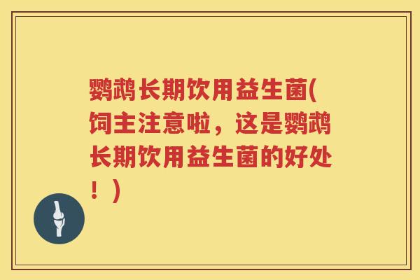 鹦鹉长期饮用益生菌(饲主注意啦,这是鹦鹉长期饮用益生菌的好处!) 鹦鹉长期饮用益生菌(饲主注意啦,这是鹦鹉长期饮用益生菌的好处!)