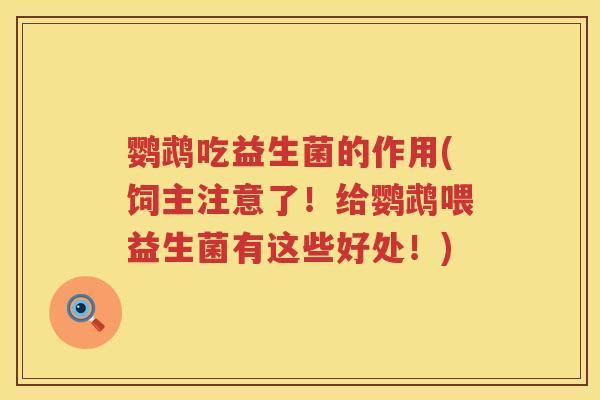 鹦鹉吃益生菌的作用(饲主注意了!给鹦鹉喂益生菌有这些好处!) 鹦鹉吃益生菌的作用(饲主注意了!给鹦鹉喂益生菌有这些好处!)