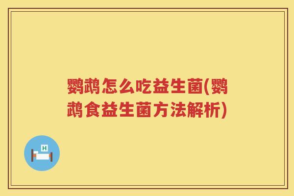 鹦鹉怎么吃益生菌(鹦鹉食益生菌方法解析) 鹦鹉怎么吃益生菌(鹦鹉食益生菌方法解析)