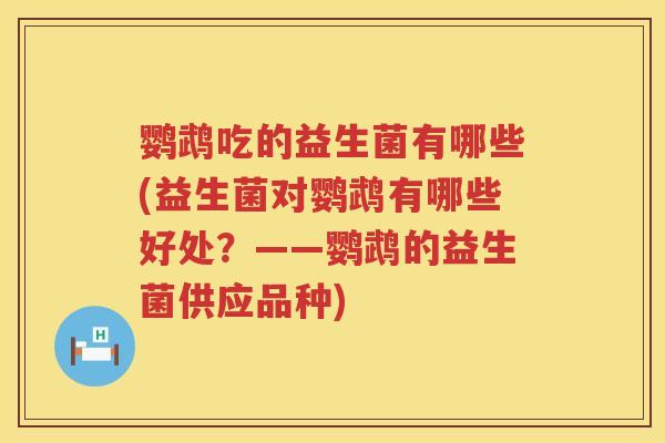 鹦鹉吃的益生菌有哪些(益生菌对鹦鹉有哪些好处？——鹦鹉的益生菌供应品种)