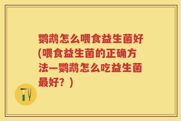 鹦鹉怎么喂食益生菌好(喂食益生菌的正确方法—鹦鹉怎么吃益生菌好？)