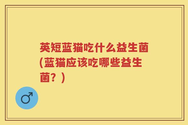 英短蓝猫吃什么益生菌(蓝猫应该吃哪些益生菌？)