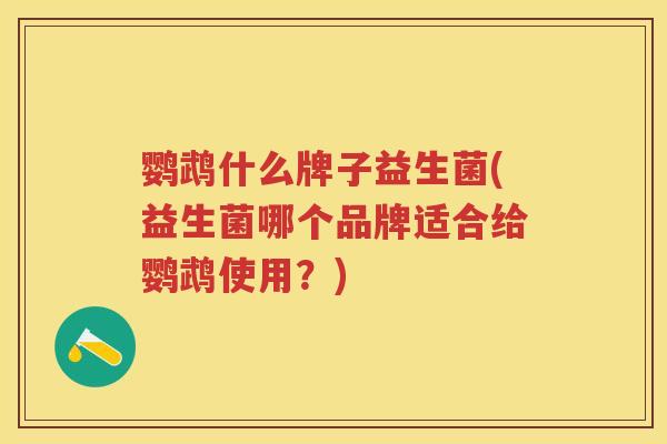 鹦鹉什么牌子益生菌(益生菌哪个品牌适合给鹦鹉使用?) 鹦鹉什么牌子益生菌(益生菌哪个品牌适合给鹦鹉使用?)