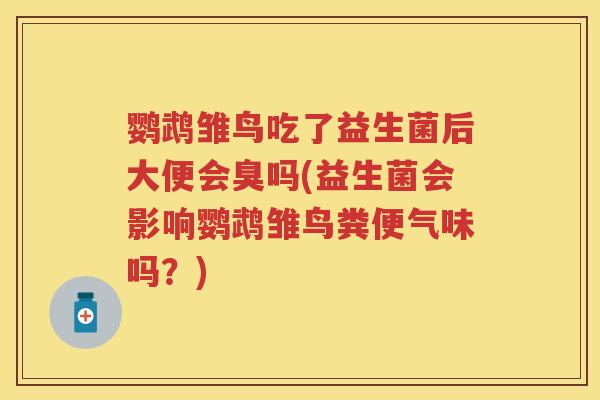 鹦鹉雏鸟吃了益生菌后大便会臭吗(益生菌会影响鹦鹉雏鸟粪便气味吗?) 鹦鹉雏鸟吃了益生菌后大便会臭吗(益生菌会影响鹦鹉雏鸟粪便气味吗?)