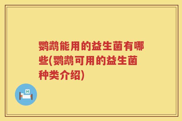 鹦鹉能用的益生菌有哪些(鹦鹉可用的益生菌种类介绍)