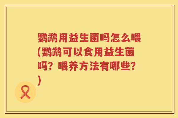鹦鹉用益生菌吗怎么喂(鹦鹉可以食用益生菌吗？喂养方法有哪些？)
