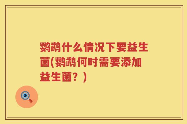 鹦鹉什么情况下要益生菌(鹦鹉何时需要添加益生菌?) 鹦鹉什么情况下要益生菌(鹦鹉何时需要添加益生菌?)
