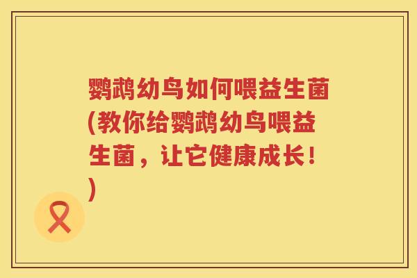 鹦鹉幼鸟如何喂益生菌(教你给鹦鹉幼鸟喂益生菌，让它健康成长！)