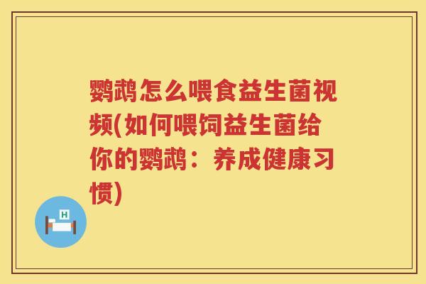 鹦鹉怎么喂食益生菌视频(如何喂饲益生菌给你的鹦鹉：养成健康习惯)