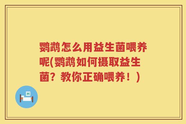 鹦鹉怎么用益生菌喂养呢(鹦鹉如何摄取益生菌?教你正确喂养!) 鹦鹉怎么用益生菌喂养呢(鹦鹉如何摄取益生菌?教你正确喂养!)
