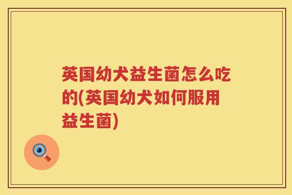 英国幼犬益生菌怎么吃的(英国幼犬如何服用益生菌) 英国幼犬益生菌怎么吃的(英国幼犬如何服用益生菌)