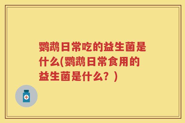 鹦鹉日常吃的益生菌是什么(鹦鹉日常食用的益生菌是什么？)