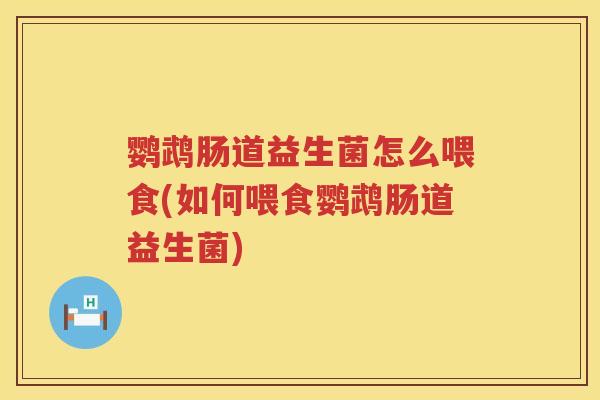 鹦鹉肠道益生菌怎么喂食(如何喂食鹦鹉肠道益生菌) 鹦鹉肠道益生菌怎么喂食(如何喂食鹦鹉肠道益生菌)