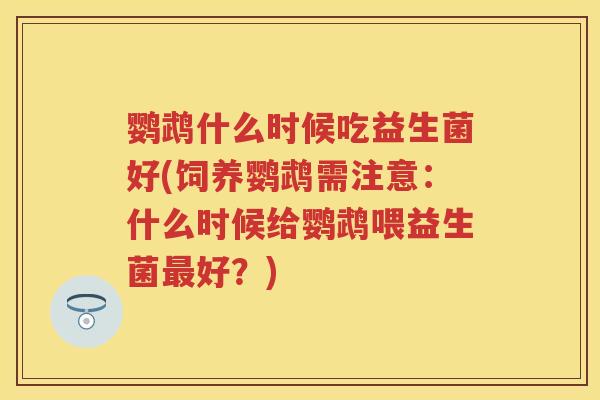 鹦鹉什么时候吃益生菌好(饲养鹦鹉需注意:什么时候给鹦鹉喂益生菌好?) 鹦鹉什么时候吃益生菌好(饲养鹦鹉需注意:什么时候给鹦鹉喂益生菌好?)