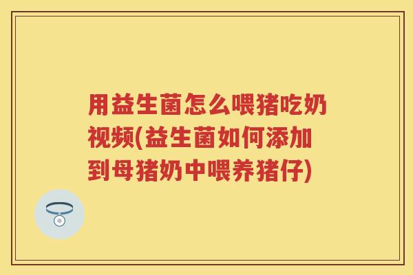 用益生菌怎么喂猪吃奶视频(益生菌如何添加到母猪奶中喂养猪仔) 用益生菌怎么喂猪吃奶视频(益生菌如何添加到母猪奶中喂养猪仔)