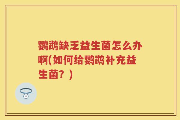 鹦鹉缺乏益生菌怎么办啊(如何给鹦鹉补充益生菌？)