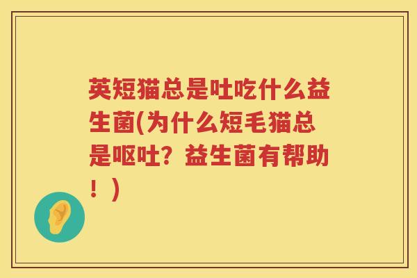 英短猫总是吐吃什么益生菌(为什么短毛猫总是？益生菌有帮助！)