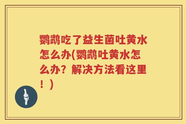 鹦鹉吃了益生菌吐黄水怎么办(鹦鹉吐黄水怎么办？解决方法看这里！)