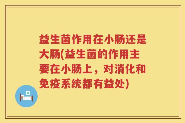 益生菌作用在小肠还是大肠(益生菌的作用主要在小肠上，对消化和系统都有益处)
