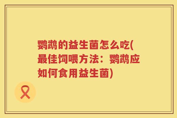 鹦鹉的益生菌怎么吃(佳饲喂方法:鹦鹉应如何食用益生菌) 鹦鹉的益生菌怎么吃(佳饲喂方法:鹦鹉应如何食用益生菌)