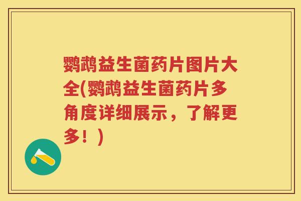 鹦鹉益生菌药片图片大全(鹦鹉益生菌药片多角度详细展示,了解更多!) 鹦鹉益生菌药片图片大全(鹦鹉益生菌药片多角度详细展示,了解更多!)