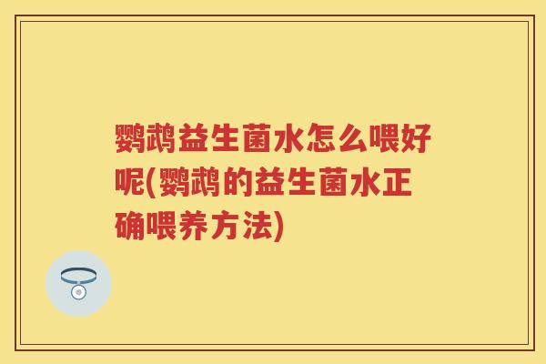 鹦鹉益生菌水怎么喂好呢(鹦鹉的益生菌水正确喂养方法)