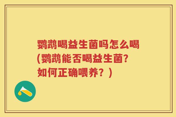 鹦鹉喝益生菌吗怎么喝(鹦鹉能否喝益生菌?如何正确喂养?) 鹦鹉喝益生菌吗怎么喝(鹦鹉能否喝益生菌?如何正确喂养?)
